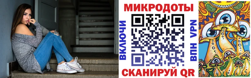 купить закладку  Чегем  Галлюциногенные грибы Psilocybe 